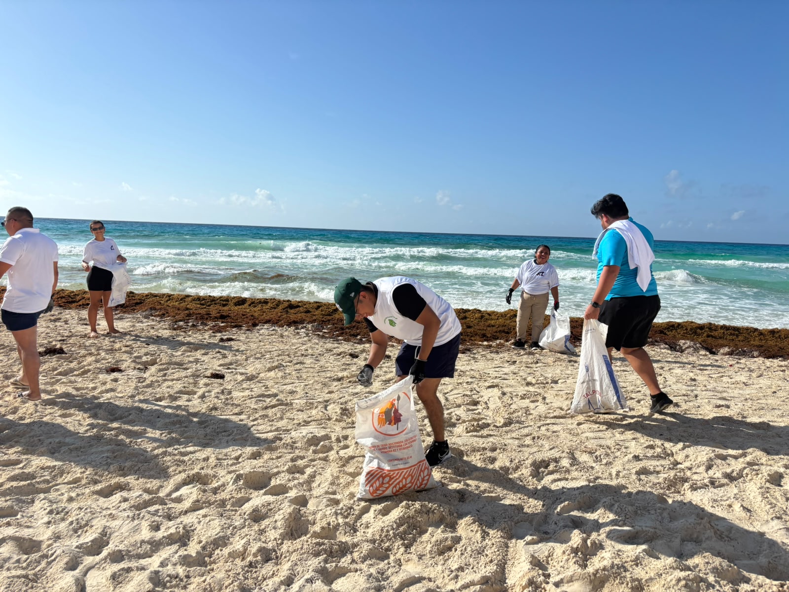 Voluntarios de Elefantes Verdes limpiando la playa frente al mar Caribe, Cancún junio 2026