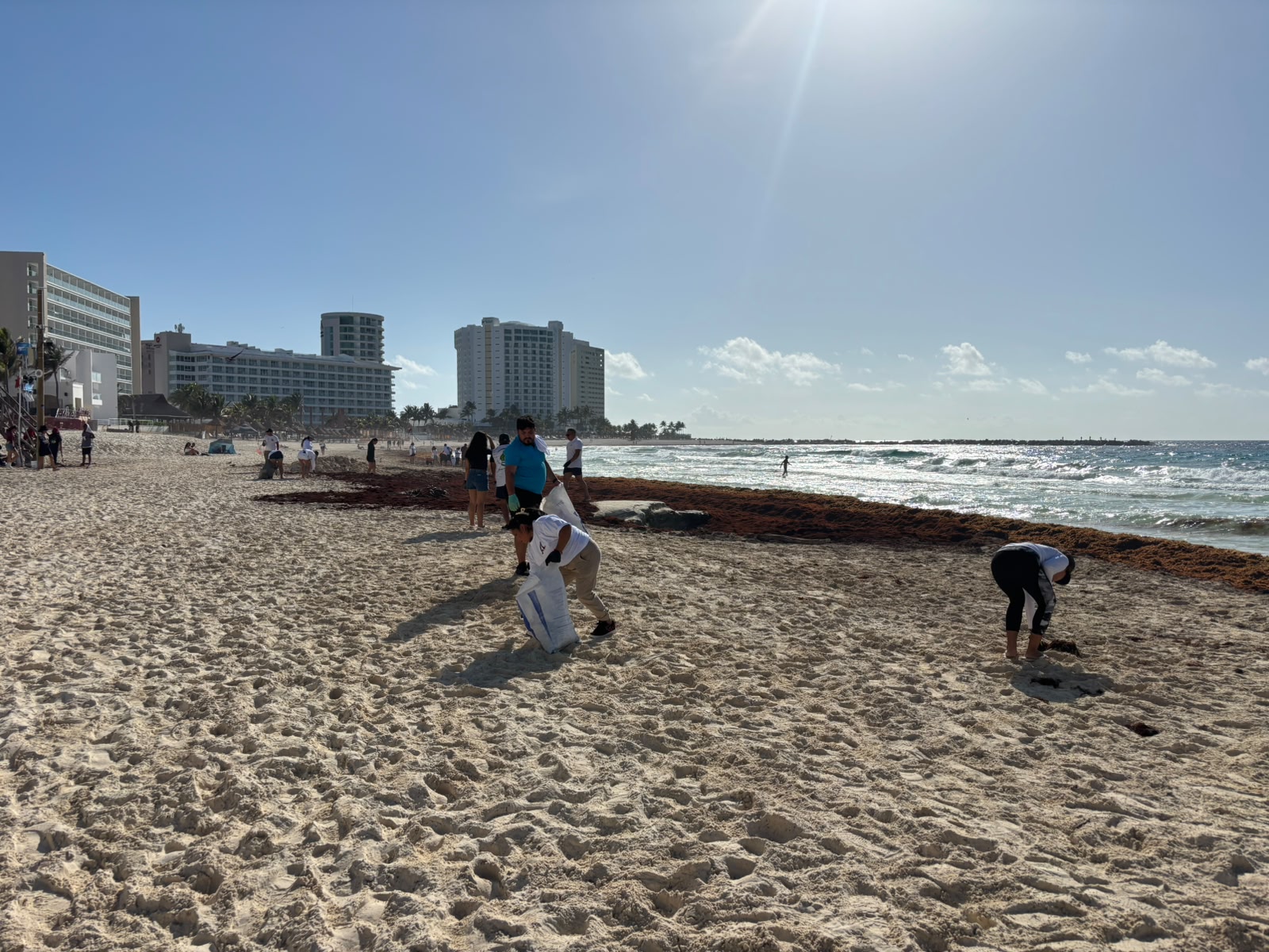 Voluntarios recolectando residuos en Playa Gaviota Azul, Cancún